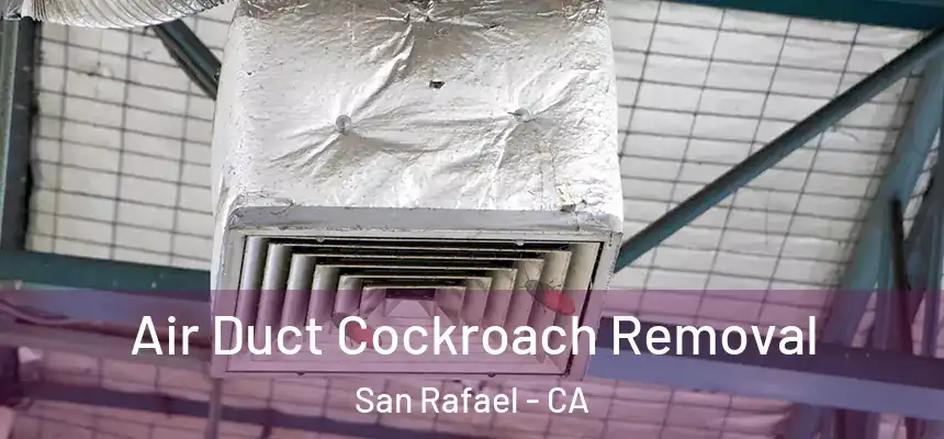  Air Duct Cockroach Removal San Rafael - CA