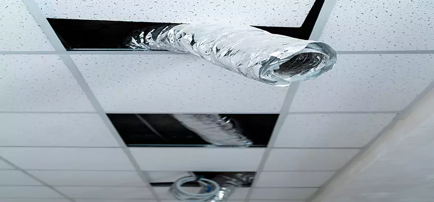 Affordable HVAC Sanitizing After Pest Removal in San Rafael