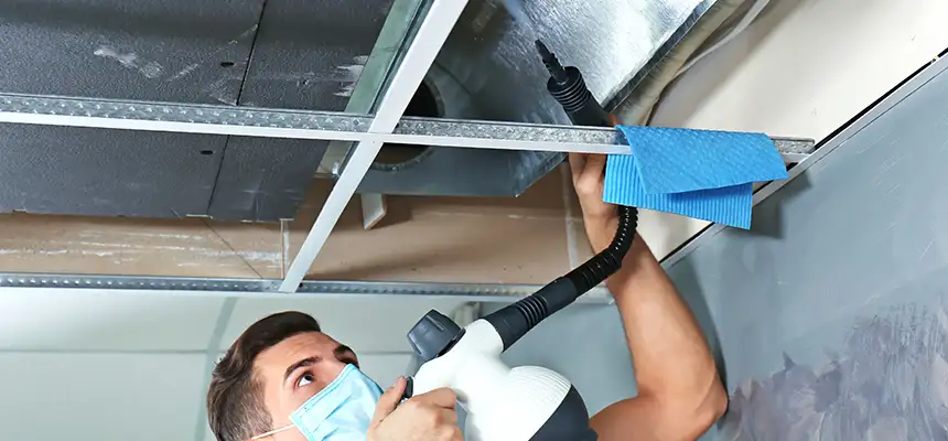 Our Air Duct Rodent Removal Services in San Rafael, CA