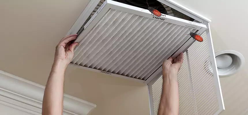 Our Insect Removal from Air Ducts Services in San Rafael, CA