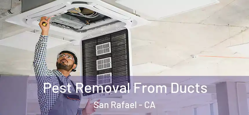  Pest Removal From Ducts San Rafael - CA