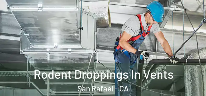  Rodent Droppings In Vents San Rafael - CA