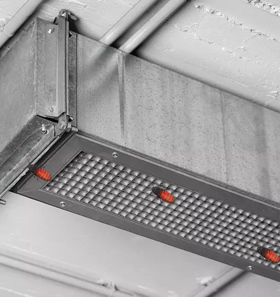 About Air Duct Cockroach Removal in San Rafael, CA