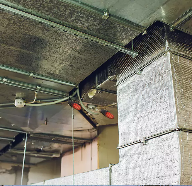 Why Homeowners & Businesses Trust Us in San Rafael, CA?