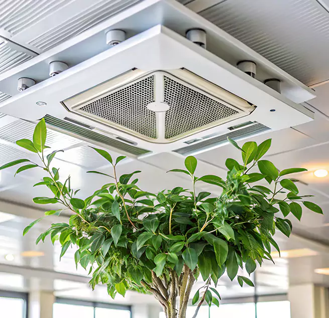 Why Homeowners & Businesses Trust Us in San Rafael, CA?